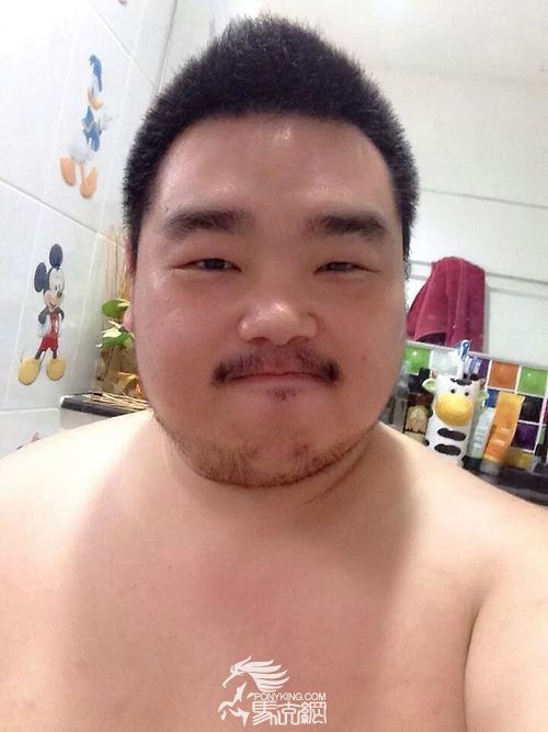 Korean bear