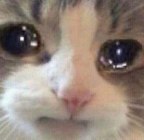 The Dance Is Killing Me, IM IN LOVE