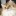 catstoday: