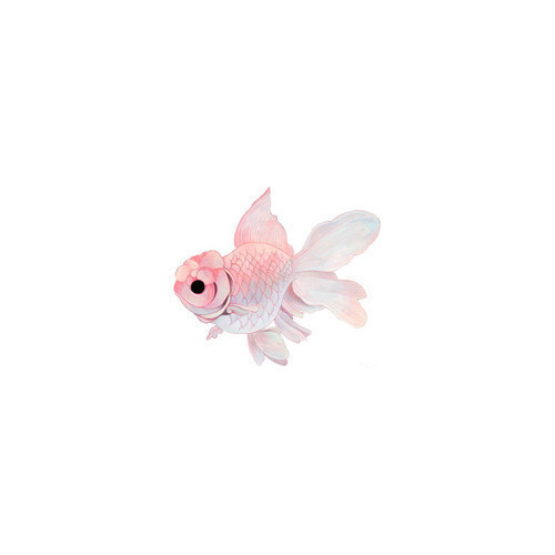 andantegrazioso:Cutest pastel fish