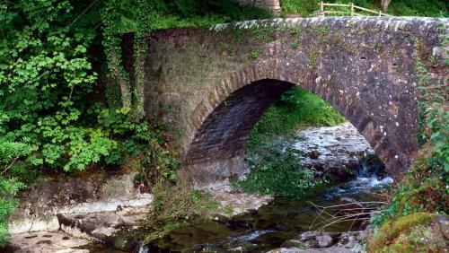 Bridging the Stream, North Yorkshire, England.