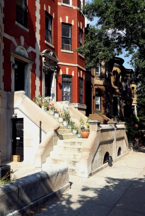 wanderingnewyork: Houses in Prospect-Lefferts Gardens, Brooklyn.