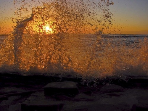 justemoinue2: Dawn Splash-Up Kapaa Beach, Kauai