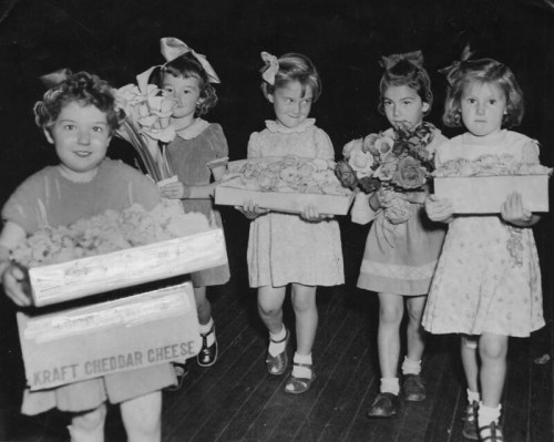 Young girls carrying flower displays at the Chelsea flower show in Brisbane, 1952