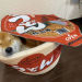 eduards-stuff:emma-of:ramen-bed:Pet Owners Are Buying Cup Noodle Beds For Their Pets