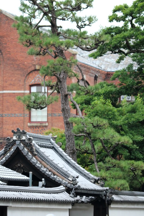 Kyoto, Japan