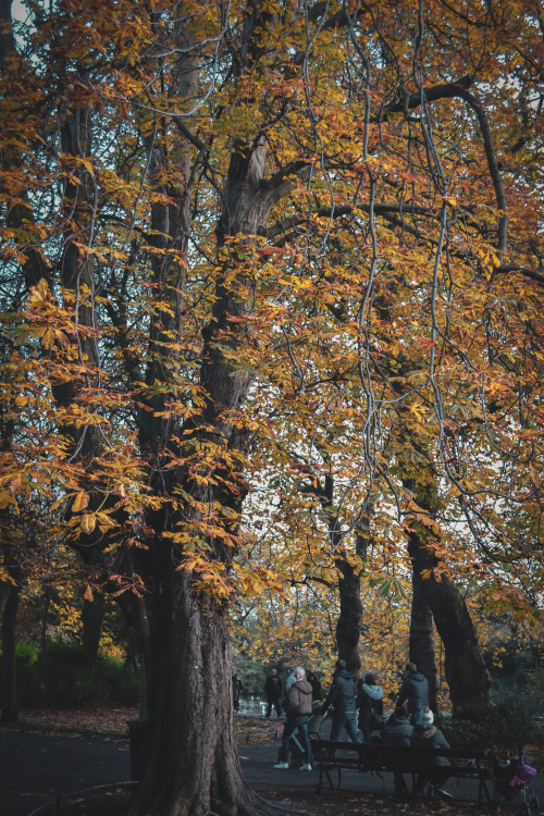 St. Stephen’s Green, Dublin