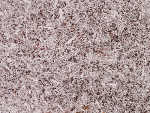 It’s currently snowing needle snowflakes — a fairly unique type of snowflake which only forms when t