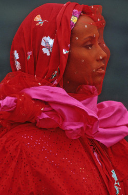 ferrarisheppard:    Hans Feurer   