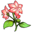 floragave