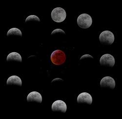 spacettf:  Lunar Eclipse Phases by James