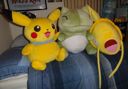 pacificpikachu:I believe these three are the biggest plush in my collection! (It was hard to limit myself to just these three because I have several other plush that are just a slightly smaller than these.) Shiny Magikarp is three feet long, to give you