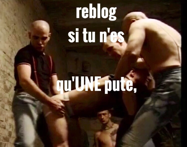 chienneafister:  pigdevot:  patheticfag:  Right, slut here, especially to Skinheads