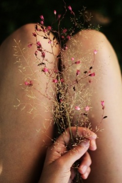 lightnessandbeauty:  … of unknown provenance …