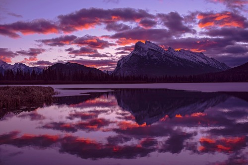 Mt Rundle sunrise by bob