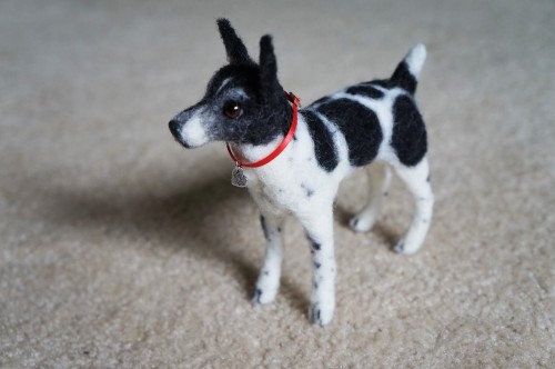 janetsneedlefelting:A Rat Terrier I felted earlier. Wool, wires, plastic eyes and ribbon collar. 