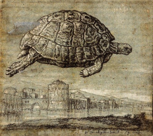 drakontomalloi:Melchior Lorck - Tortoise above the Venetian Lagoon. 1555