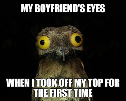 advice-animal:  Boyfriend’s Eyeshttp://advice-animal.tumblr.com/