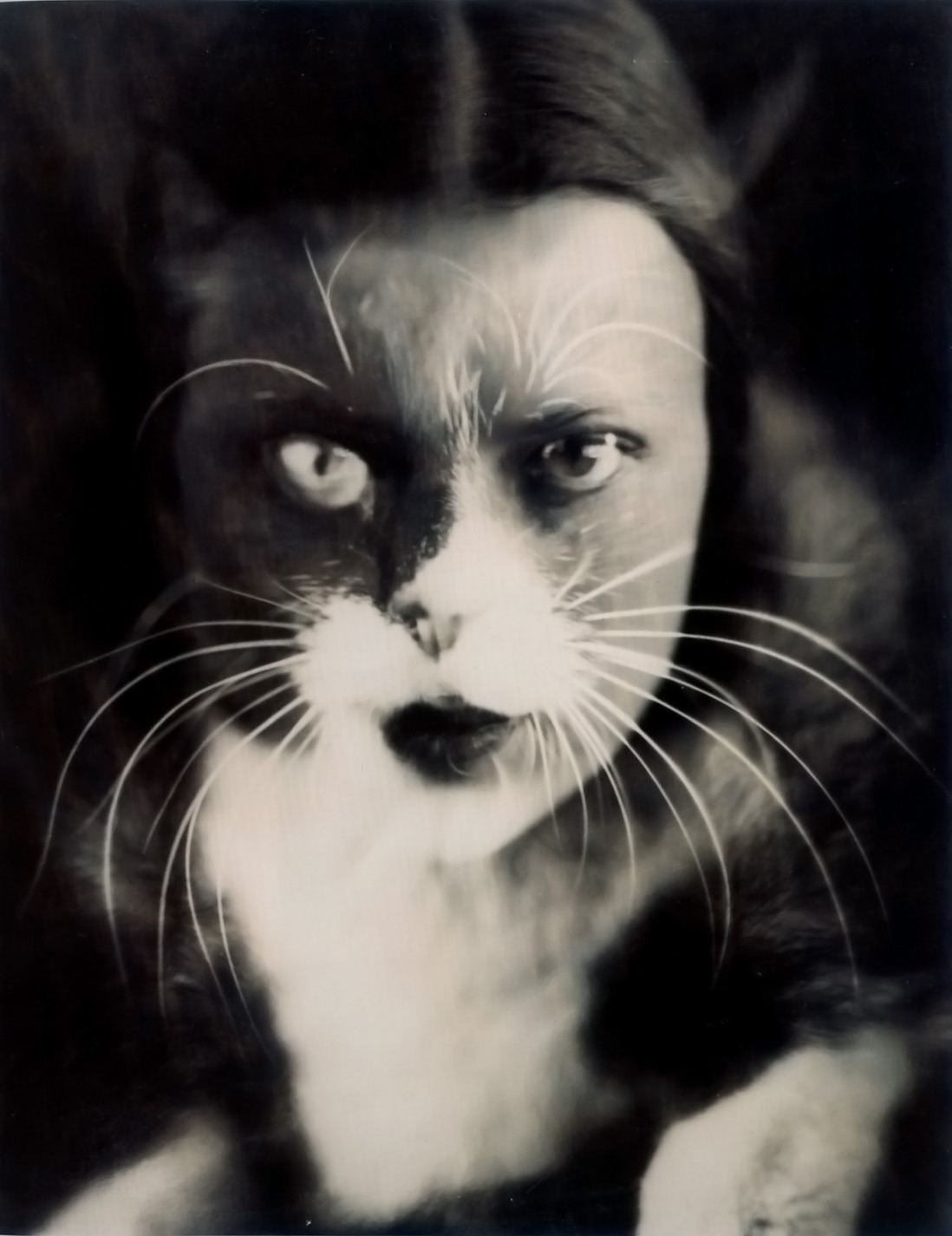 hauntedbystorytelling:  Wanda Wulz :: Gatto meno io, 1932 / Gatto, 1930′sWanda