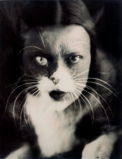 Porn Pics hauntedbystorytelling:  Wanda Wulz :: Gatto