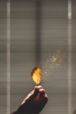 plasmatics:  Autumn by Red Craig (Website) 