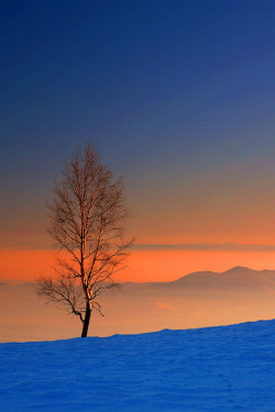 sundxwn:  ALONE by Plamen Troshev 