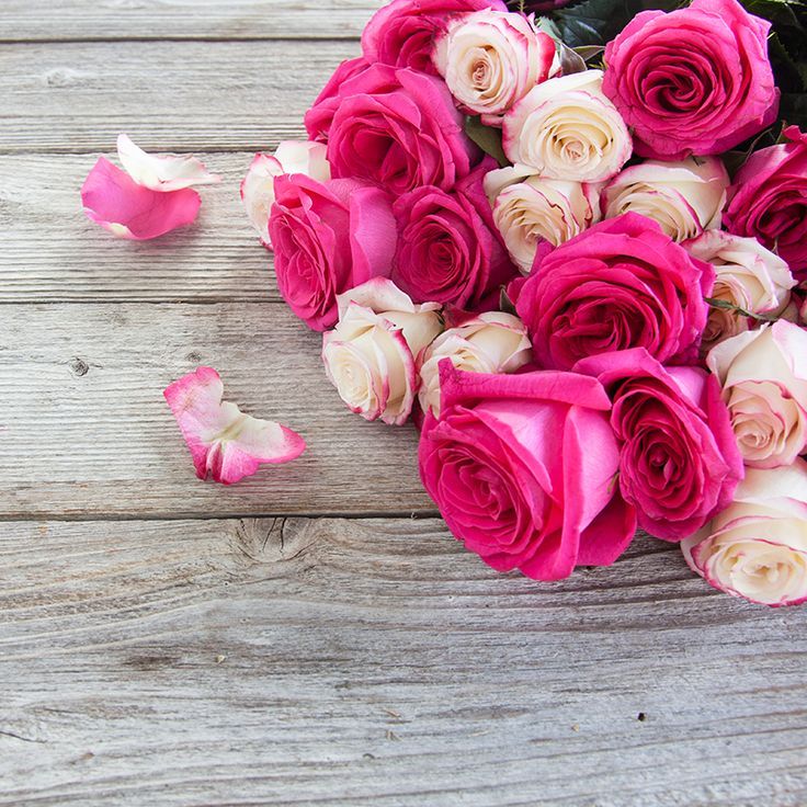 ♥ Mademoiselle Rose ♥