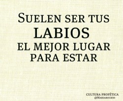Not Stop Dreaming