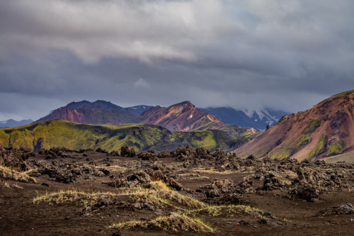 Impressions from Landmannaleið (F225)