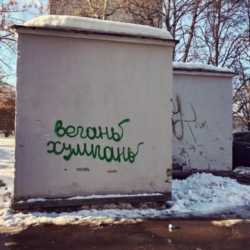 It says “vegans are hooligans” lol! #graffiti #vegan #strangewords #moscow #chertanovohttps://www.