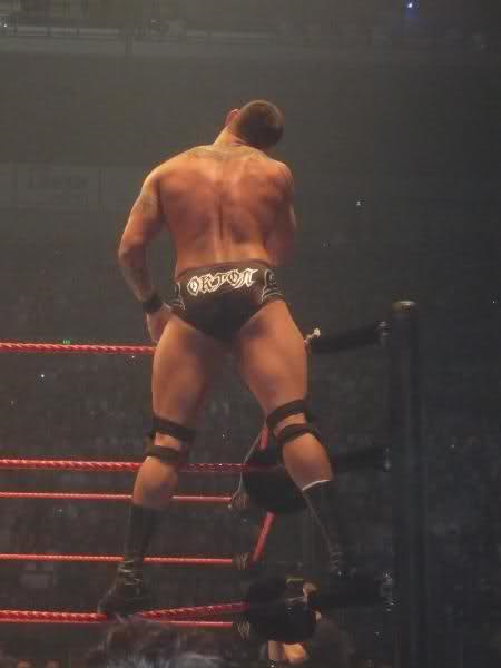 rwfan11:  Orton