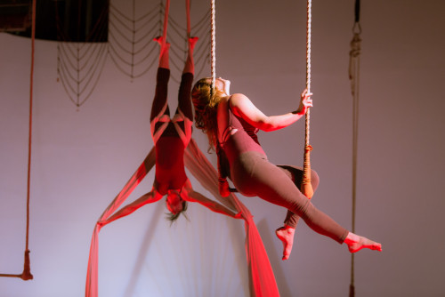 tangle-arts: Tangle’s Loop in the 2014 Philly Fringe. Photo by Michael Ermilio.