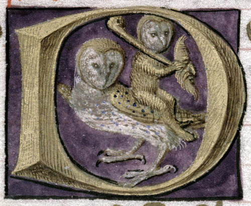 owlman riding an owlLetters of St. Augustine, Anjou 15th centuryMarseille, Bibliothèque munic