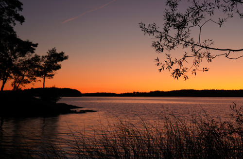 swedishlandscapes:The sunset after an unusually warm september day.