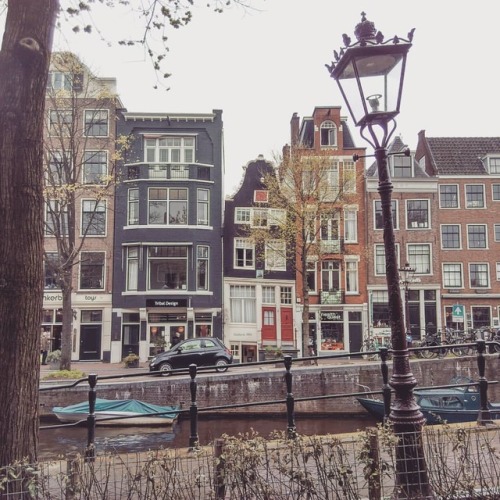 Damn goodlooking city, dam. #amsterdam #netherlands #travel #trip #holiday #sightseeing #roamingarou