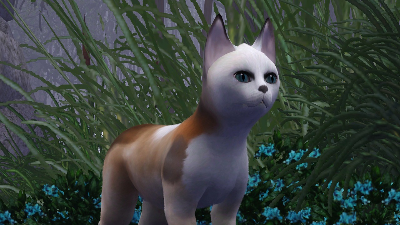 ☁️ SkyClan – A Sims 3 Warrior Cats Challenge.