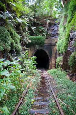 abandonedography:  Abandoned Helensburgh Railway Station by Tom Jarman 