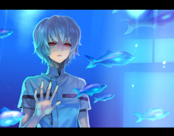 rei-ayanami-time.tumblr.com post 43027499260