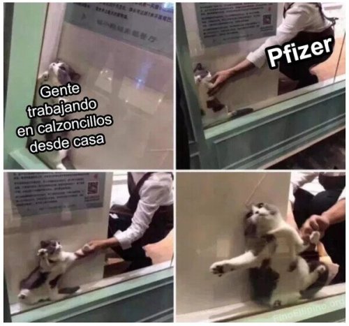 ☣ CORONAVIRUS ☣ - TOPIC para MEMES y TROLEOS - Página 3 9ba90db10da9b382b36f014752a86b3fbb96475f
