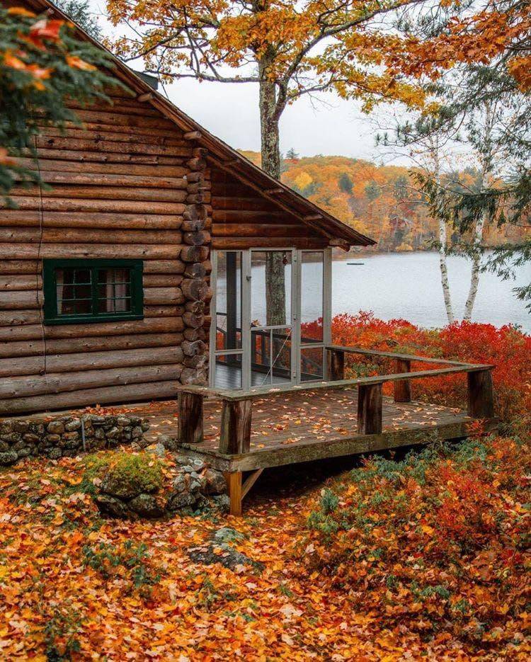 Dream Cabin!
Oh to be warm and cozy by a fireplace!!!