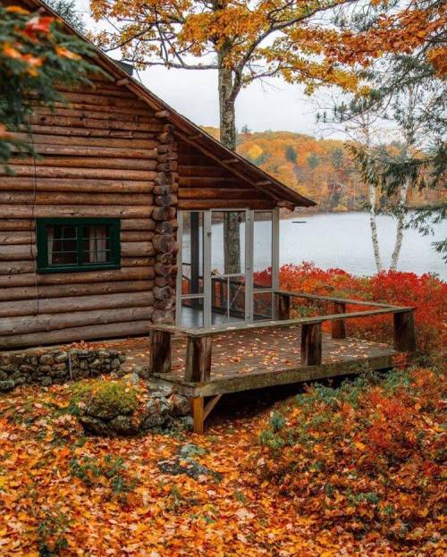 greystreetgirl: Cabin life 🏠 