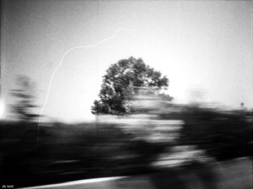 By in a blur On the road somewhere in Lazio. Diana Mini on Foma Creative 200 B&amp;W film.