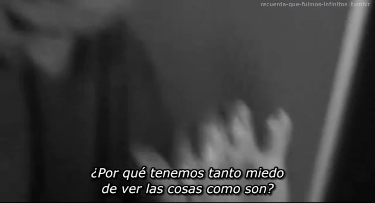 Stupid People