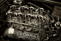 takrouri:  AC Cobra 289 Daytona at Le Mans
