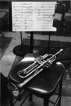 josephine7:    Chet Baker’s trumpet by