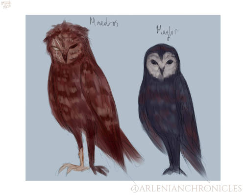 I present to you another oneshot AU, this time featuring the Kidnap Owls! Here we have:Elrond and El