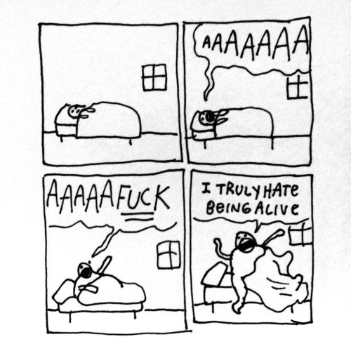 wanhunnerpercent: midnitesurprise:  greet the morning  me when matt tries to wake me up