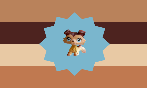 58-Shopic