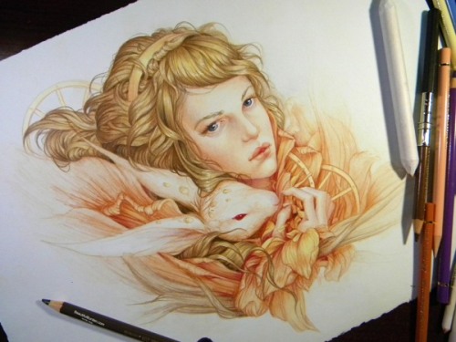 showslow:  Jennifer Healy