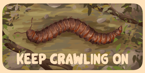 Keep Crawling On!